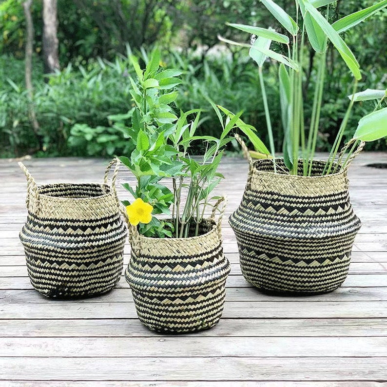 Seagrass Storage Basket for Plants