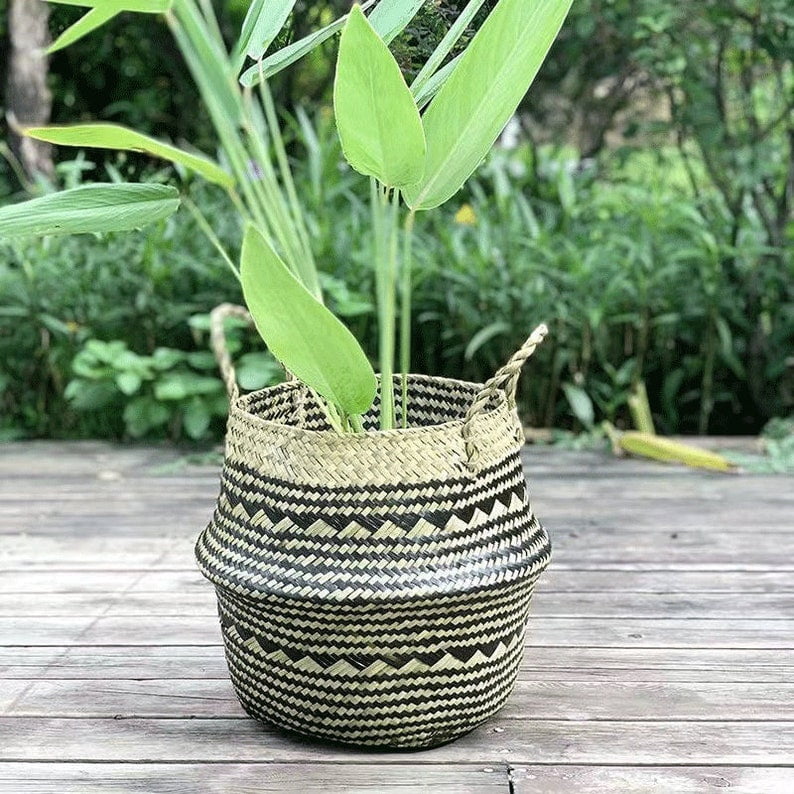 Seagrass Storage Basket for Plants